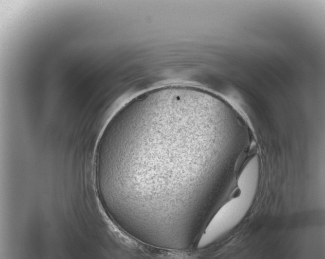 X0000081470911200701191802