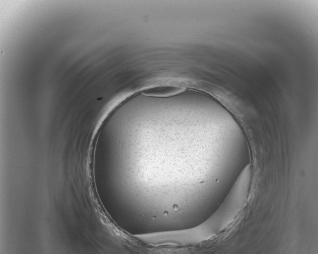 X0000081470912200701191802