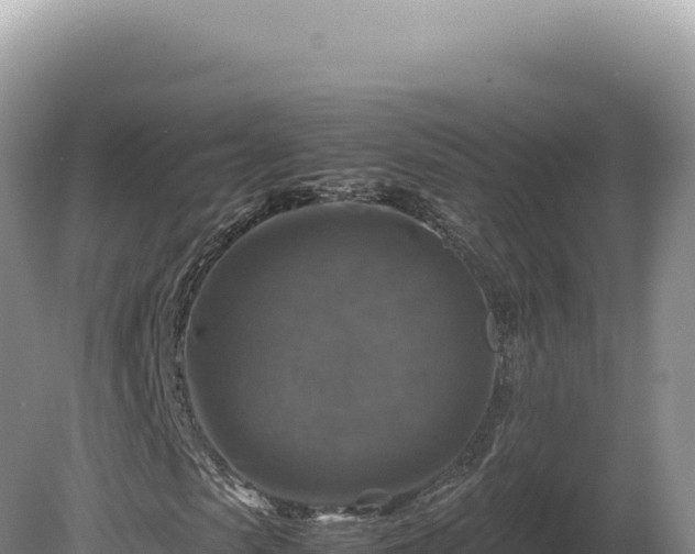 X0000081470913200701191801