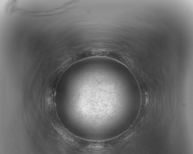 X0000081470914200701191802