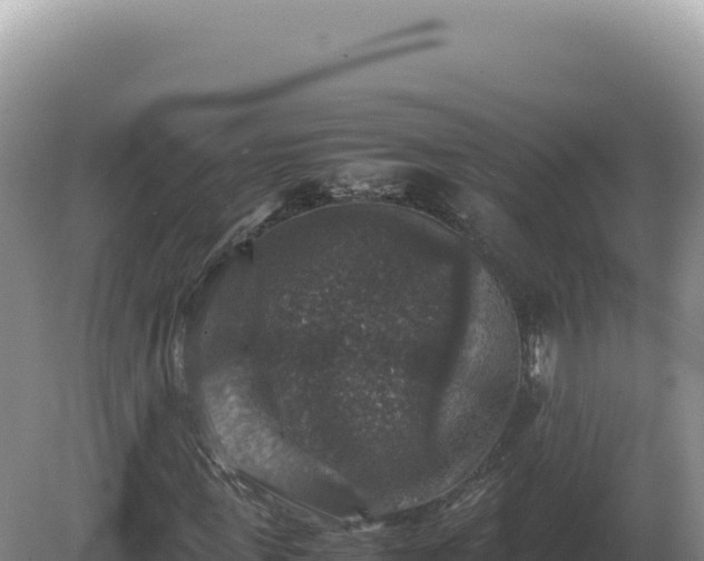 X0000081470915200701191802