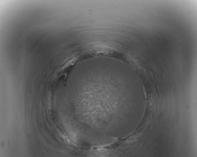 X0000081470916200701191802