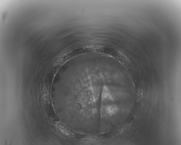 X0000081470917200701191802