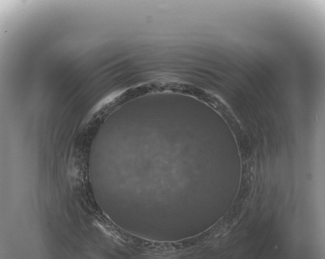 X0000081470919200701191802