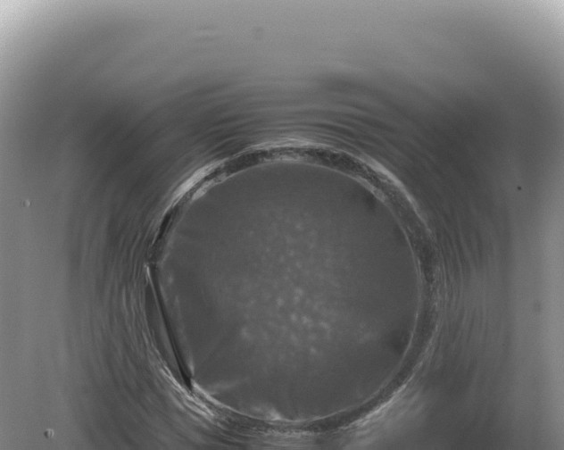 X0000081470921200701191802