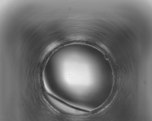 X0000081470922200701191802