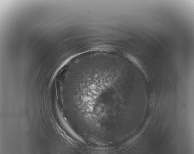 X0000081470923200701191802