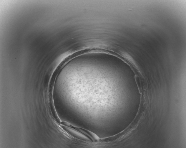 X0000081470924200701191802