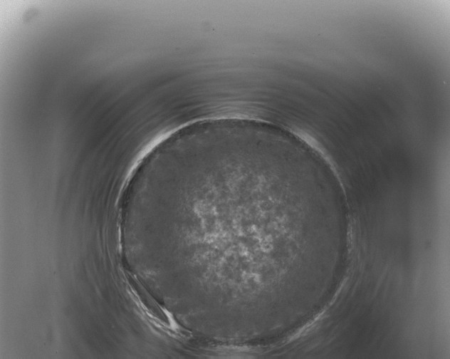 X0000081470925200701191802