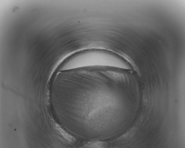 X0000081470926200701191802