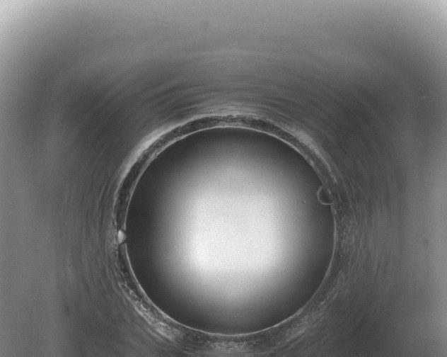 X0000081470927200701191802