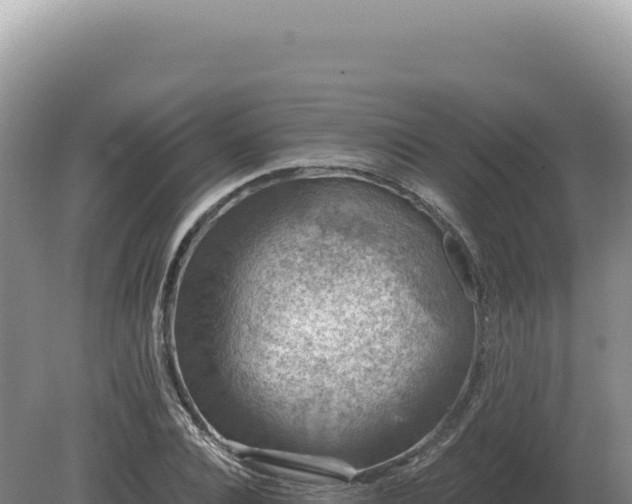 X0000081470928200701191802