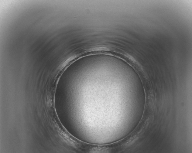 X0000081470929200701191802