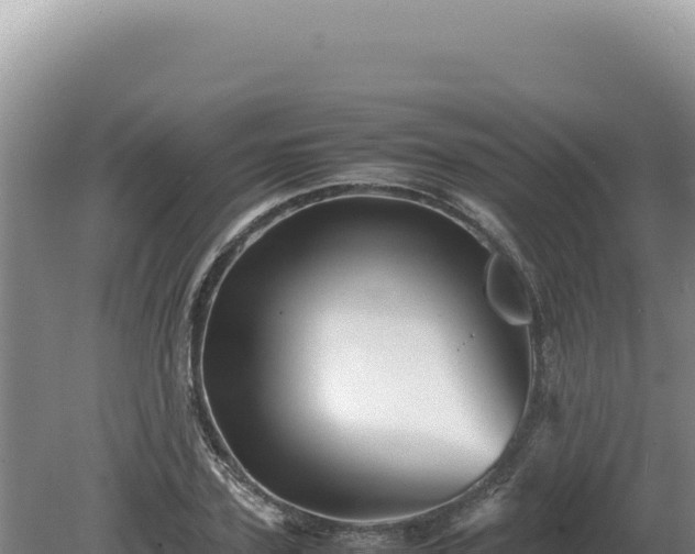 X0000081470931200701191802