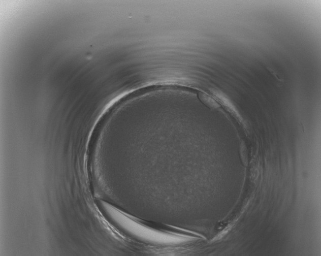 X0000081470932200701191802