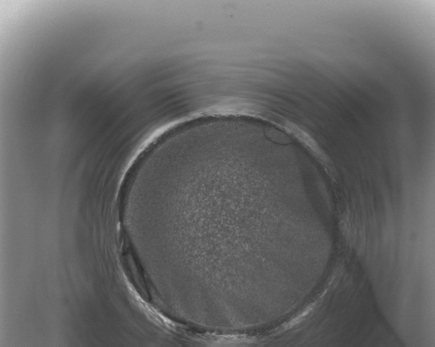 X0000081470934200701191802