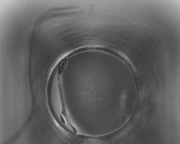 X0000081470935200701191802