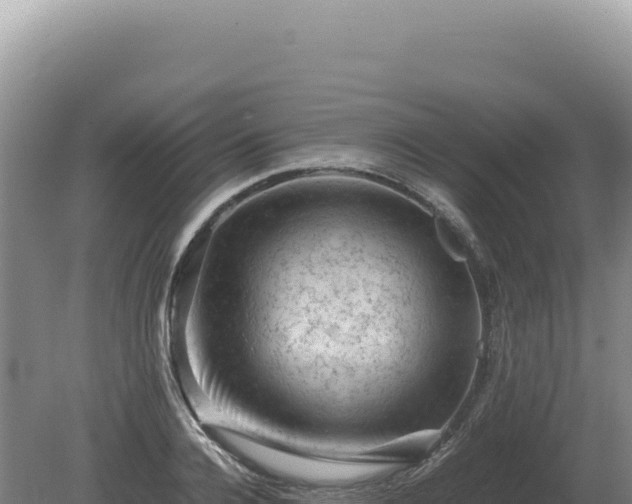 X0000081470936200701191802