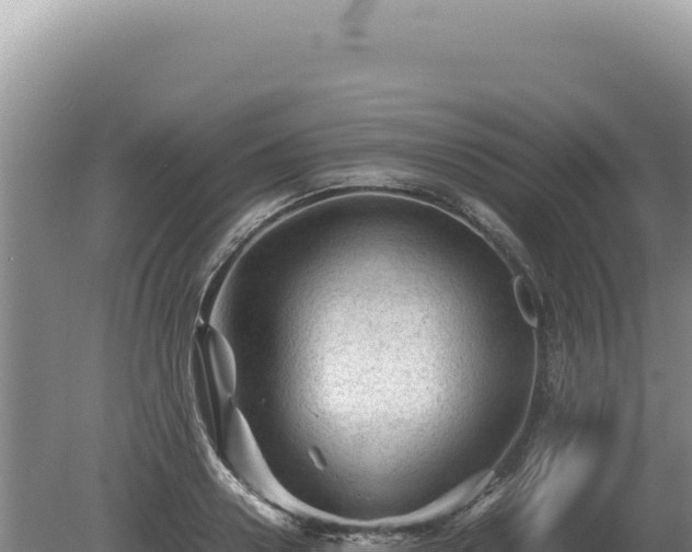 X0000081470938200701191802