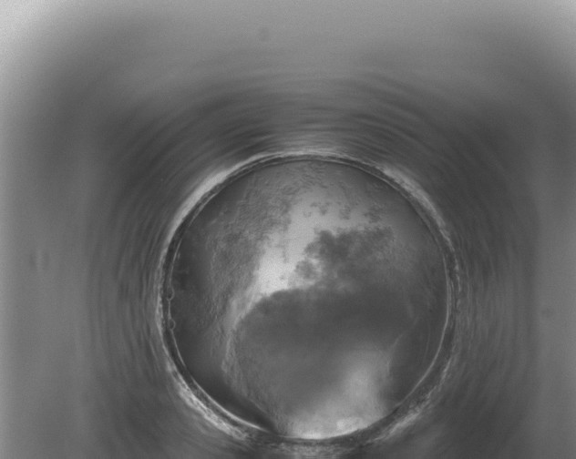 X0000081470941200701191802