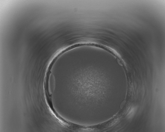 X0000081470943200701191802