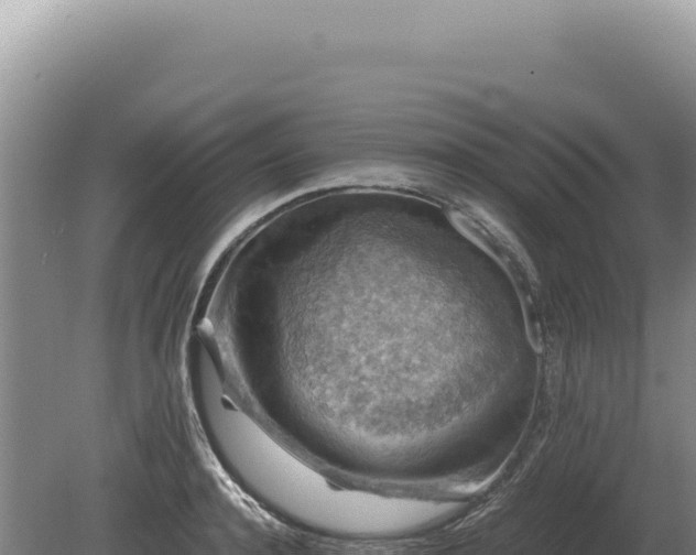 X0000081470944200701191802