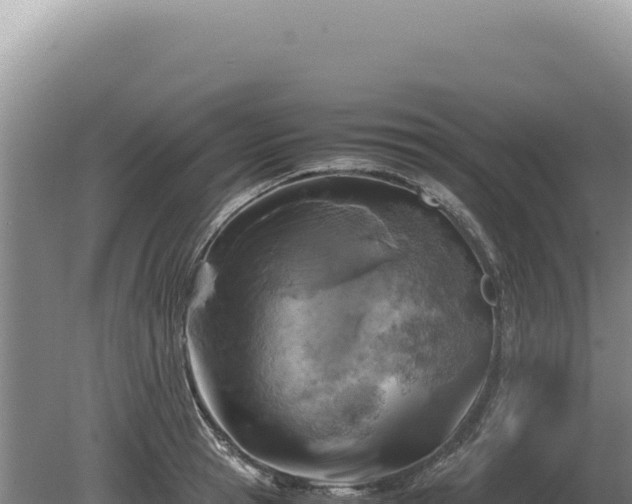 X0000081470945200701191802