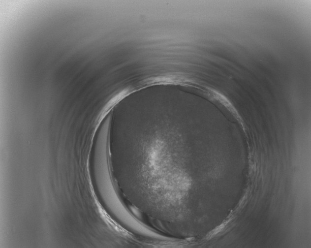 X0000081470946200701191802