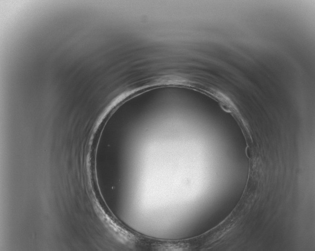 X0000081470947200701191802