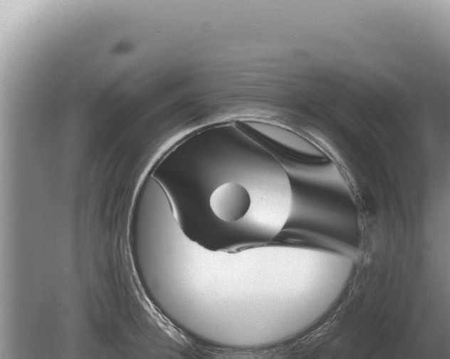 X0000081470948200701191802