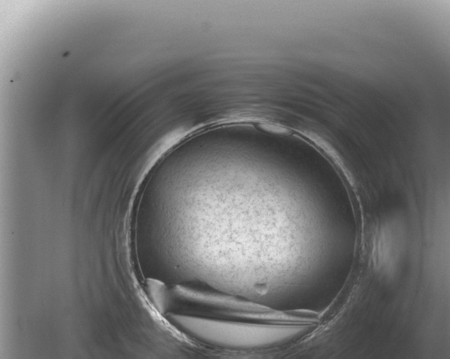 X0000081470949200701191802