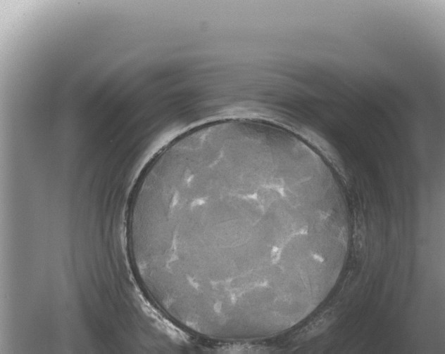 X0000081470950200701191802