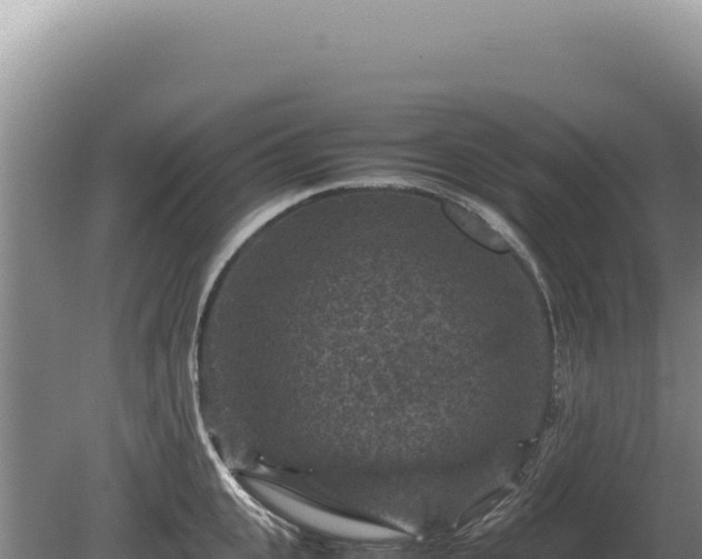 X0000081470951200701191802