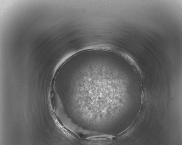 X0000081470952200701191802