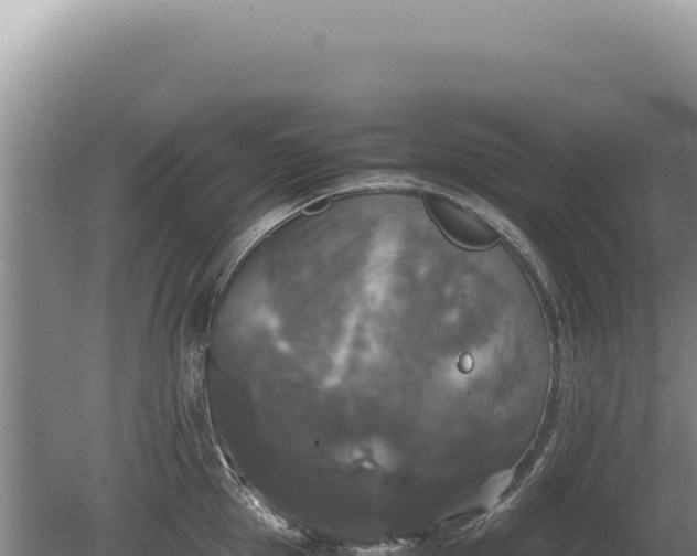 X0000081470953200701191802