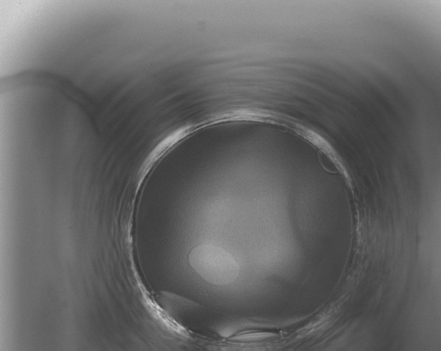 X0000081470954200701191802