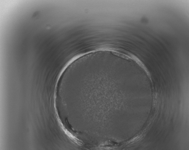 X0000081470955200701191802