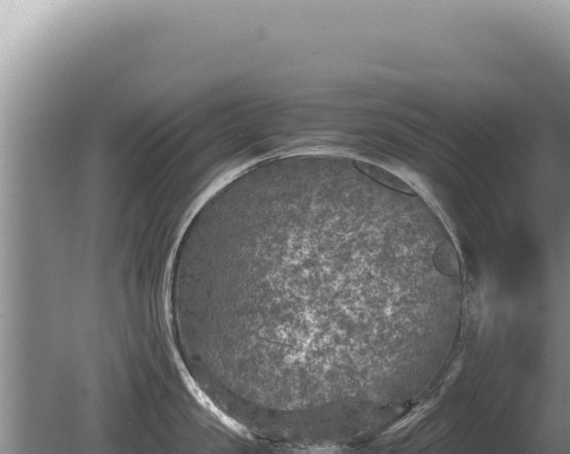 X0000081470957200701191802