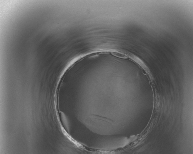 X0000081470958200701191802