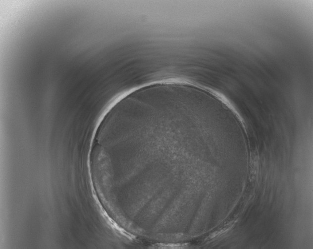 X0000081470959200701191802