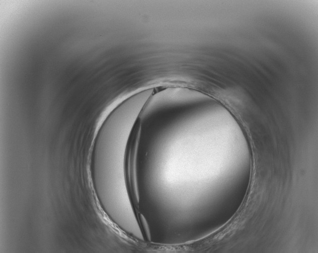 X0000081470960200701191802