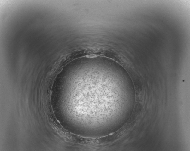 X0000081470961200701191801