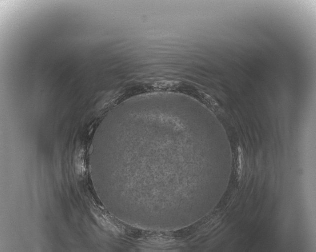 X0000081470962200701191801