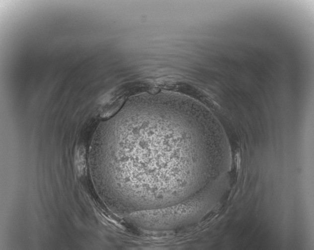 X0000081470963200701191801