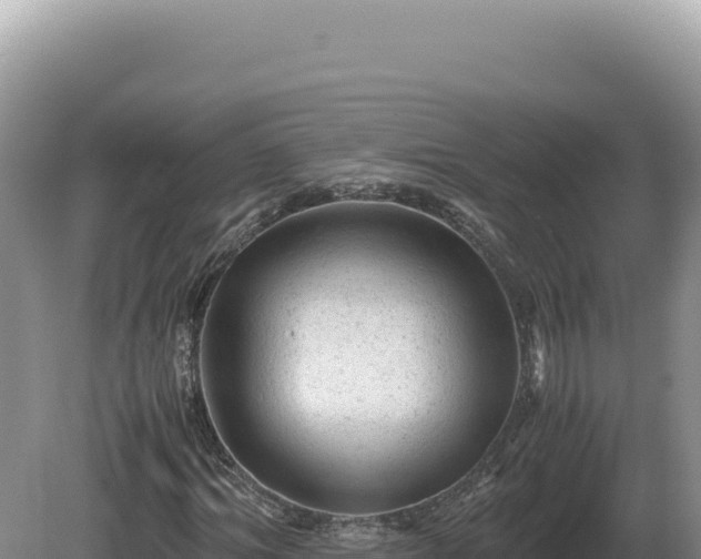 X0000081470964200701191801