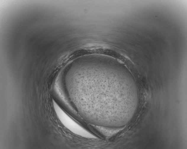 X0000081470965200701191801