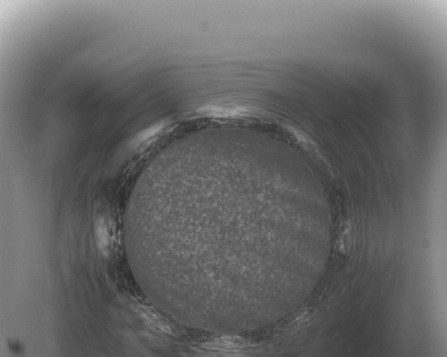 X0000081470966200701191801