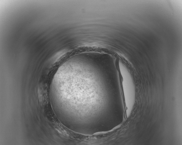 X0000081470968200701191801