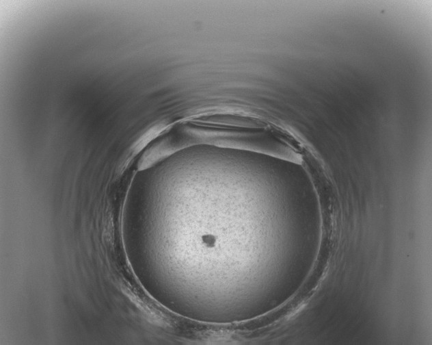 X0000081470969200701191801