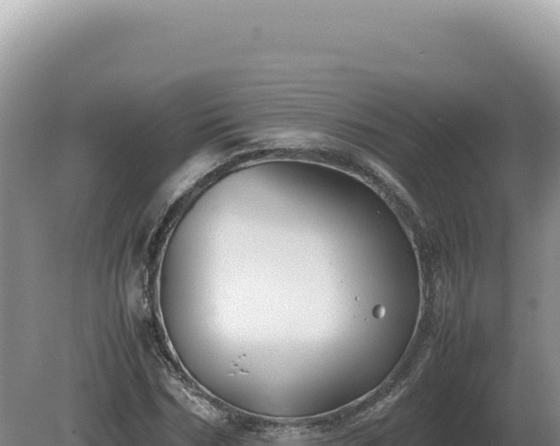 X0000081470970200701191801